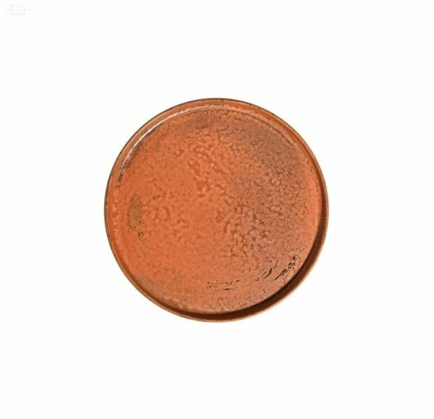 Тарелка мелкая с бортом 21 см Fall Terra ID Fine, фарфор Тарелка мелкая с бортом 21 см Fall Terra ID Fine, фарфор