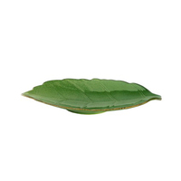 Блюдо листок 25,3х15 см  KYOTO Green