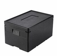 Термоконтейнер 48 л 600*400*335 мм. для гастроем. h200 мм. (-40°C до +110°C) MGProf