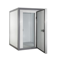 Камера холодильная ШП КХН-5,51 Д2Ф-31 POLAIR 5,51   1700  100 мм