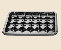 Поднос / блюдо / прямоуг. пластиковый 360х250х25 мм 24 секции  черный PET 
